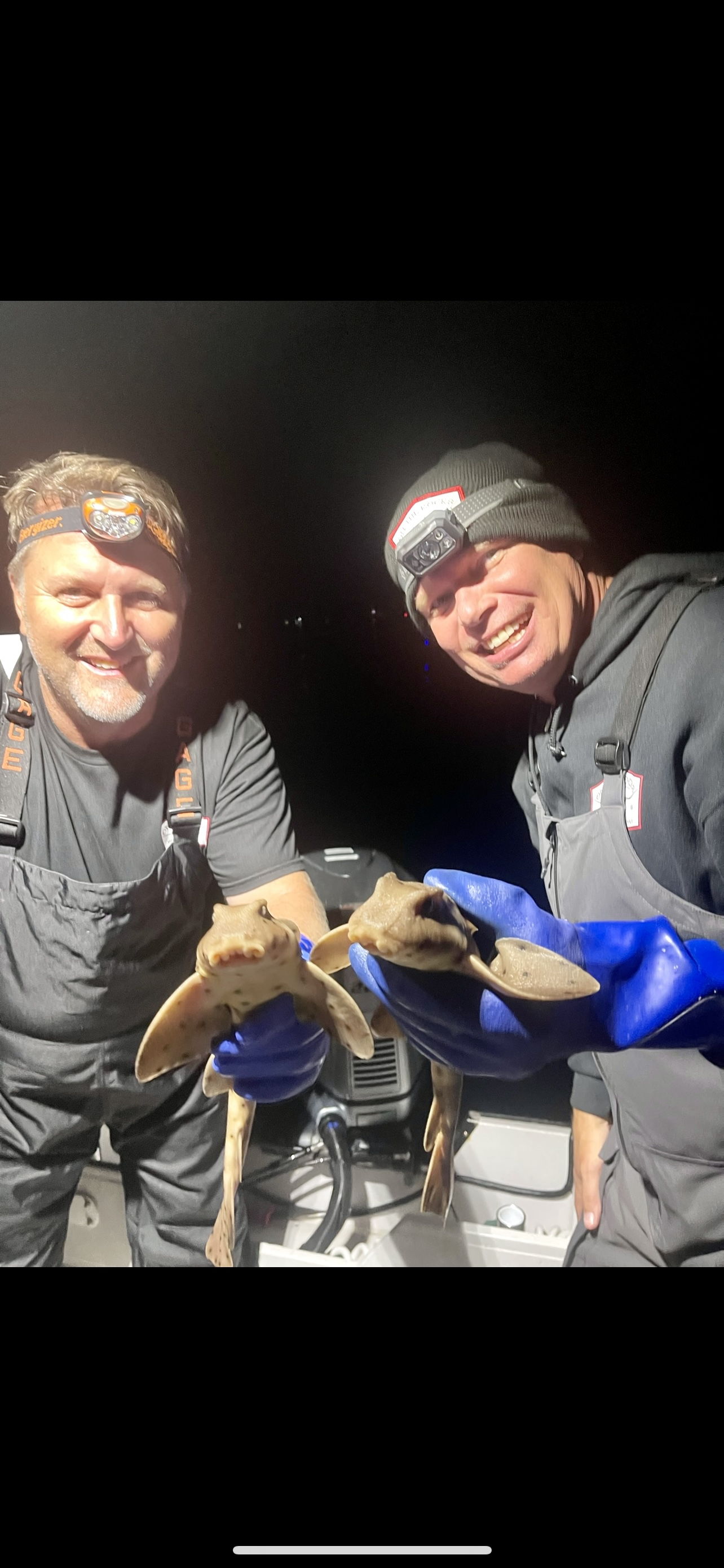 PVC-Coated Nonslip Cotton-Lined Gloves